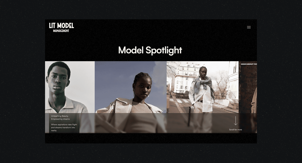 Lit Model Management